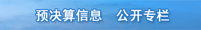 預(yù)決算公開專欄
